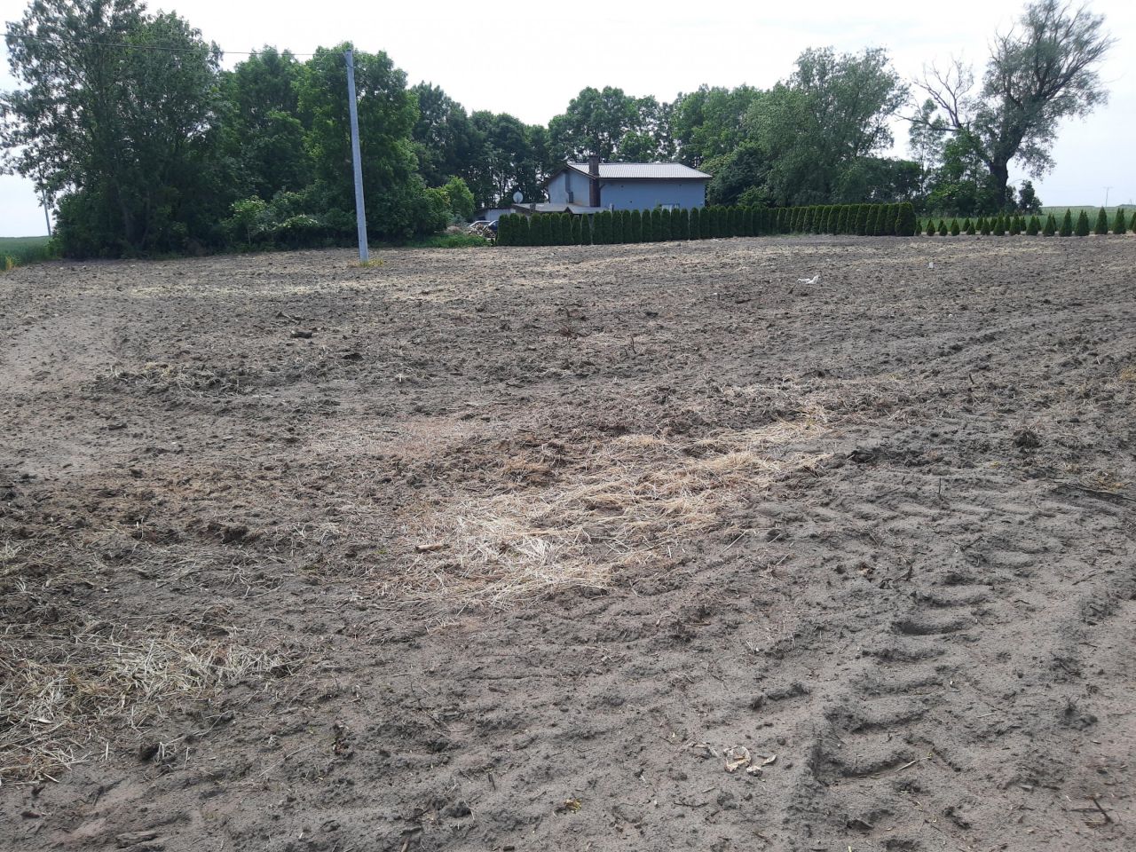 Działka rolno-budowlana Kamieniec. Zdjęcie 3