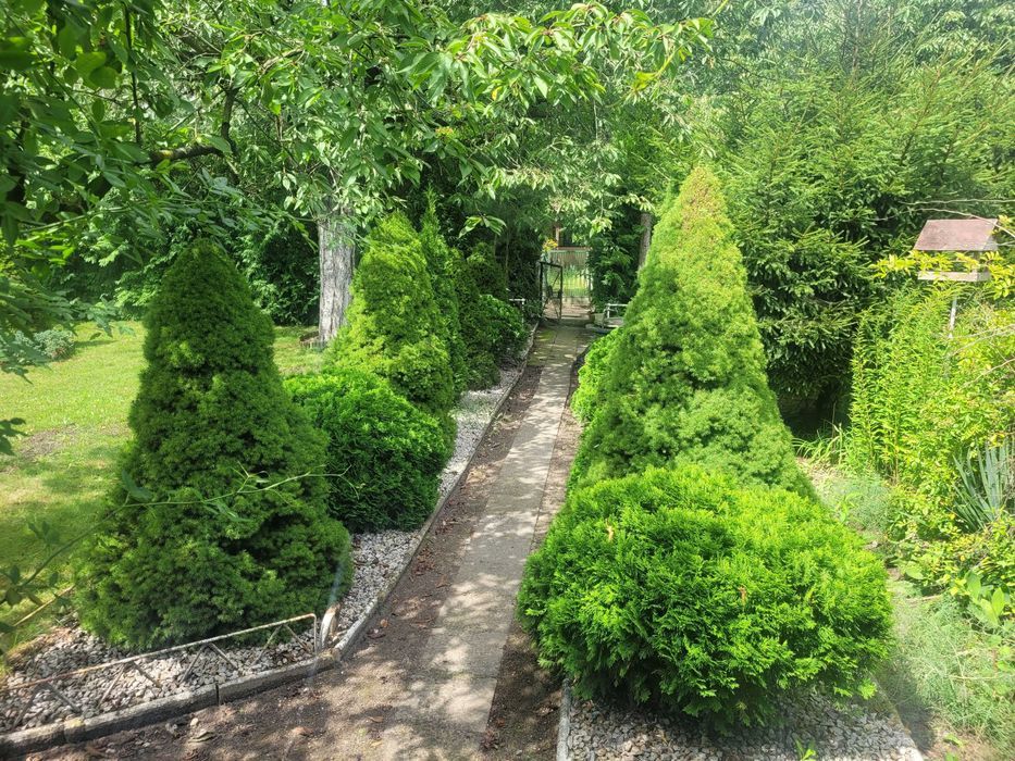 Działka rod Szamotuły, ul. Wojska Polskiego. Zdjęcie 5