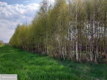 Działka budowlana Kłomnice, ul. Zdrowska. Zdjęcie 2