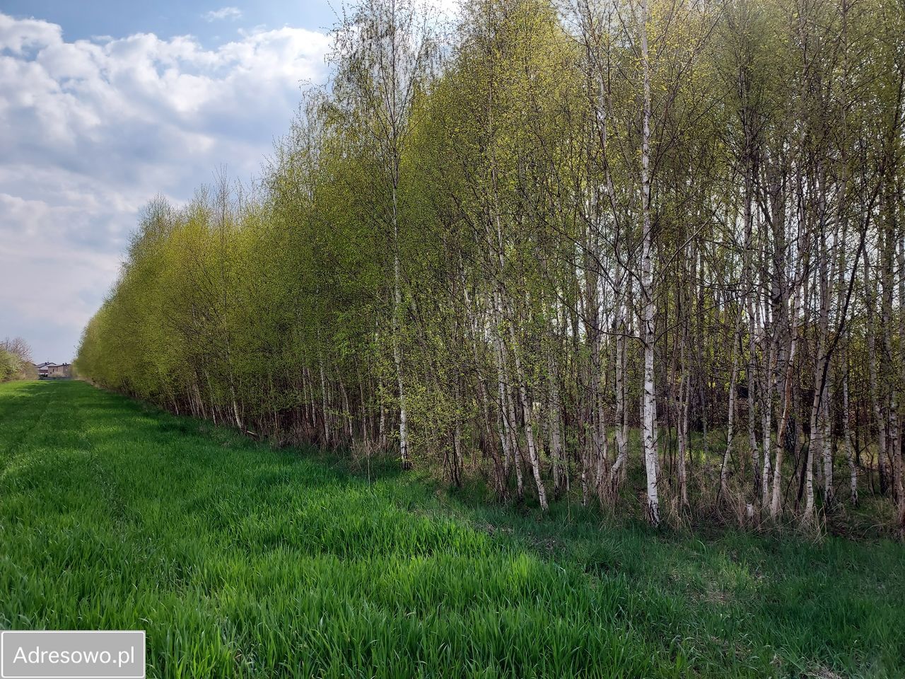 Działka budowlana Kłomnice, ul. Zdrowska. Zdjęcie 3