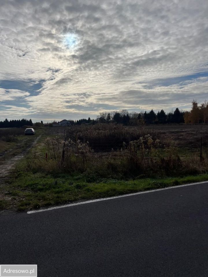 Działka rolno-budowlana Podkampinos. Zdjęcie 13