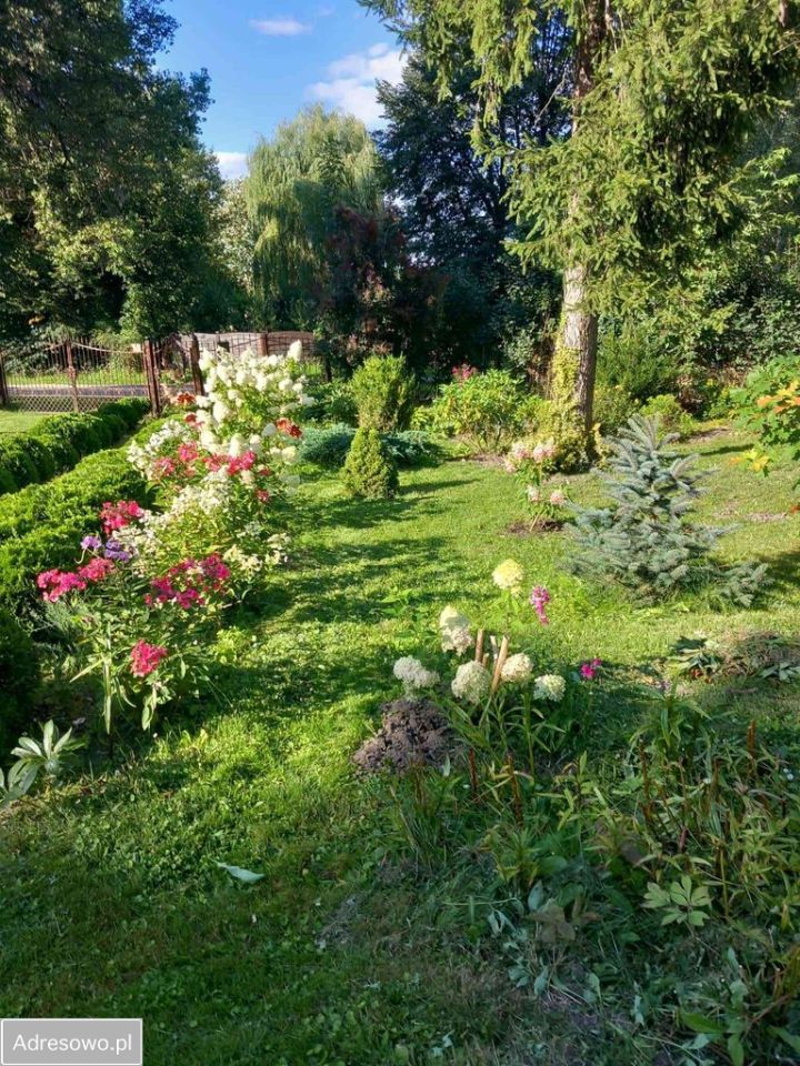 dom wolnostojący, 3 pokoje Ostrów. Zdjęcie 4