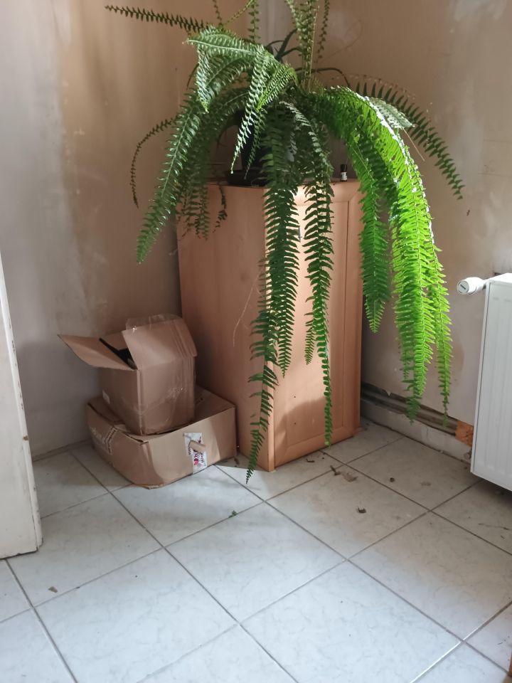 dom wolnostojący, 5 pokoi Łętownia Bańcerówka. Zdjęcie 6