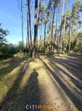 Działka budowlana Turawa, al. Wypoczynkowa. Zdjęcie 4