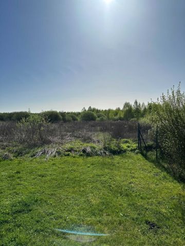 Działka rolno-budowlana Borków. Zdjęcie 1