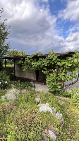 Działka rekreacyjna Kielce, ul. Jeleniowska. Zdjęcie 1