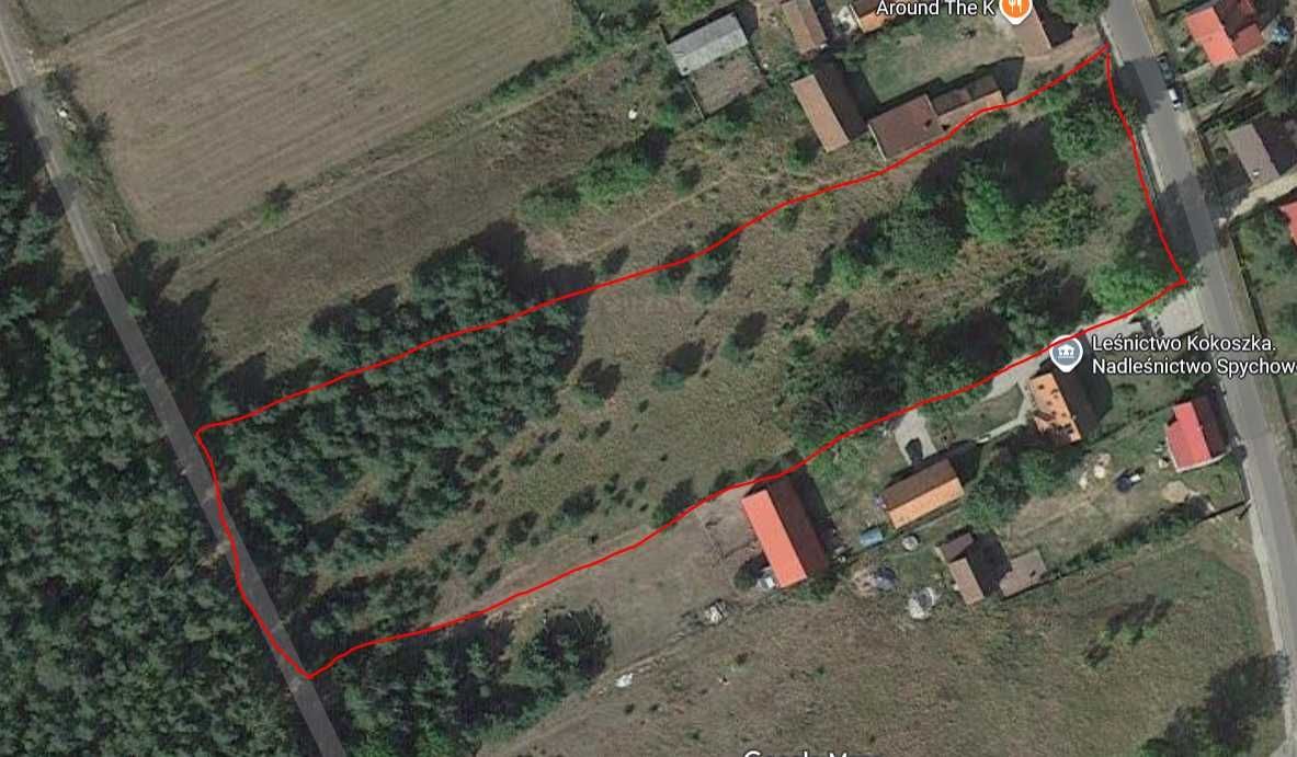 Działka budowlana Faryny. Zdjęcie 1