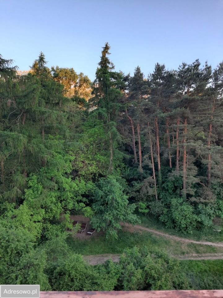 Mieszkanie 3-pokojowe Zielona Góra Centrum, ul. Władysława IV. Zdjęcie 11