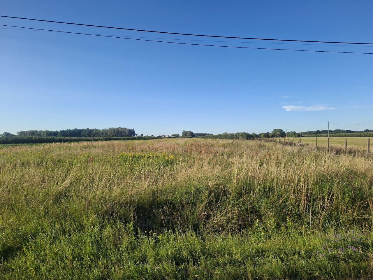 Działka rolna Stefanków. Zdjęcie 3