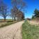 Działka budowlana Świniary. Zdjęcie 5