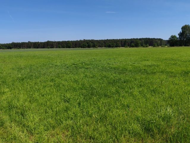 Działka rolna Marunowo. Zdjęcie 1