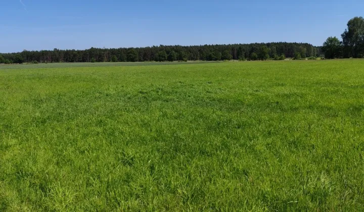 Działka rolna Marunowo