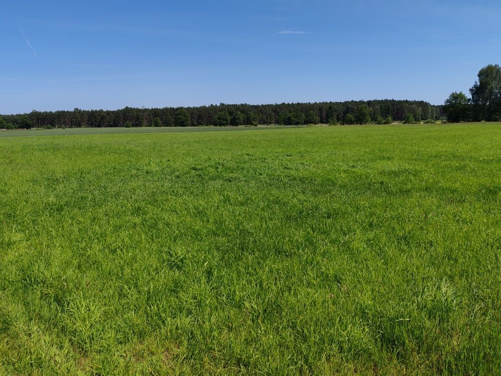 Działka rolna Marunowo