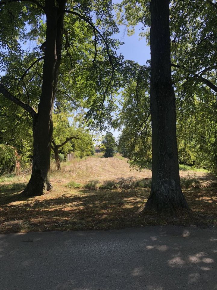 Działka budowlana Oblęgorek, ul. Aleja Lipowa. Zdjęcie 6