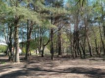 Działka budowlana Rościęcino, ul. Handlowa. Zdjęcie 1