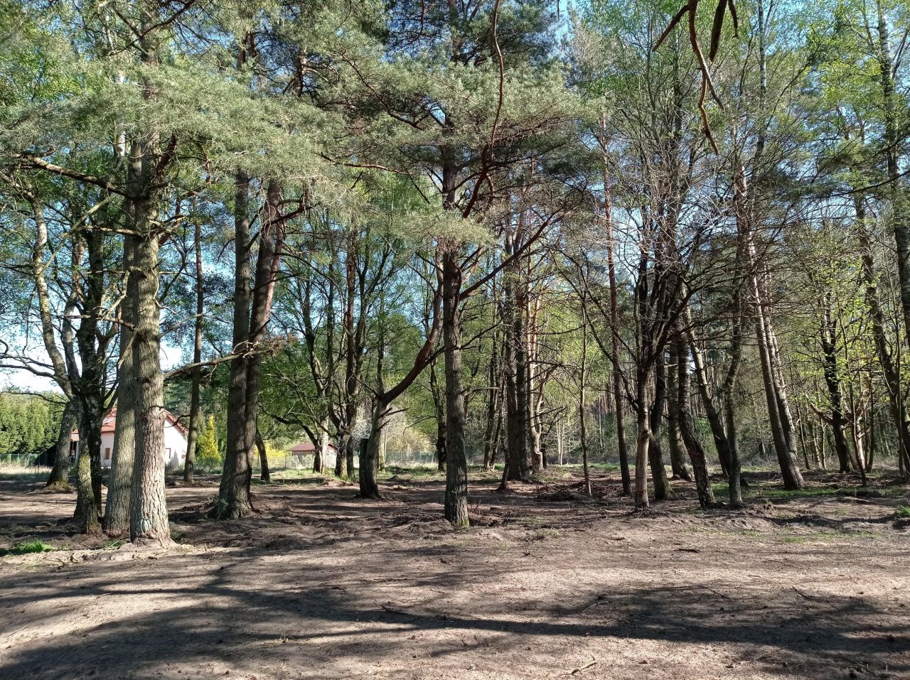 Działka budowlana Rościęcino, ul. Handlowa. Zdjęcie 2