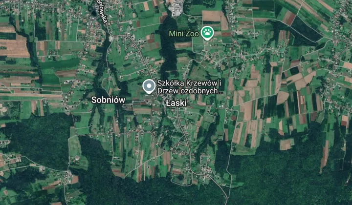 dom wolnostojący, 7 pokoi Łaski