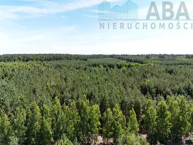siedlisko, 3 pokoje Janowice Zdrojki. Zdjęcie 26