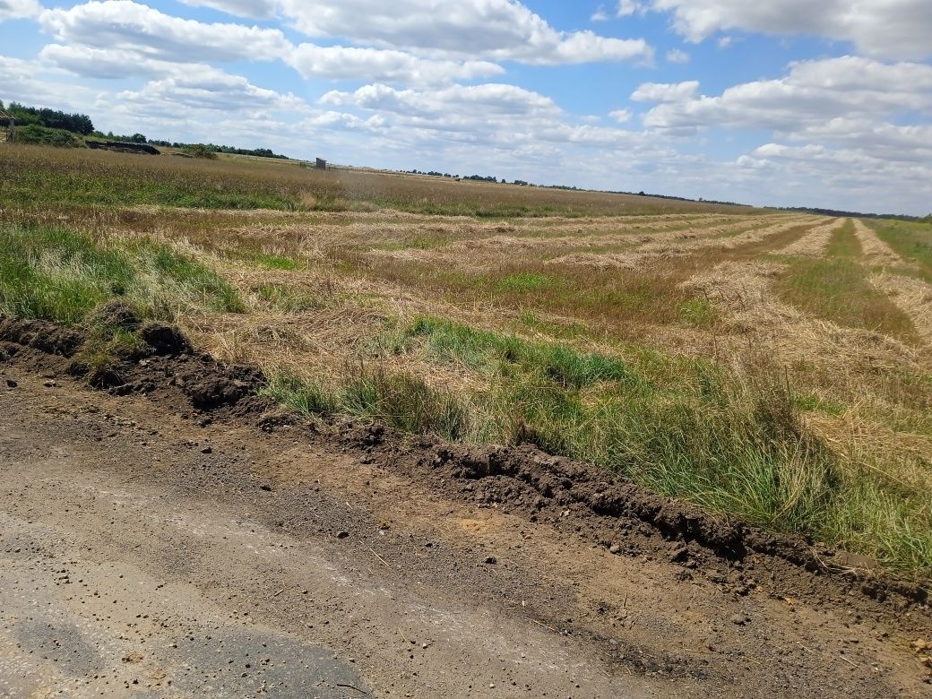 Działka rolno-budowlana Parczów. Zdjęcie 7