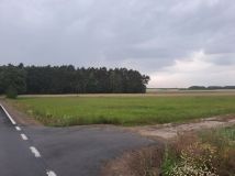 Działka rolno-budowlana Stare Zadybie. Zdjęcie 2