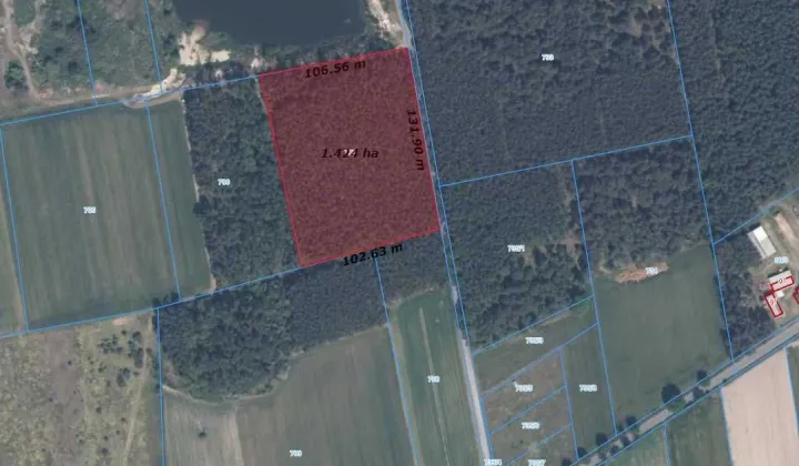 Działka leśna Chynowa