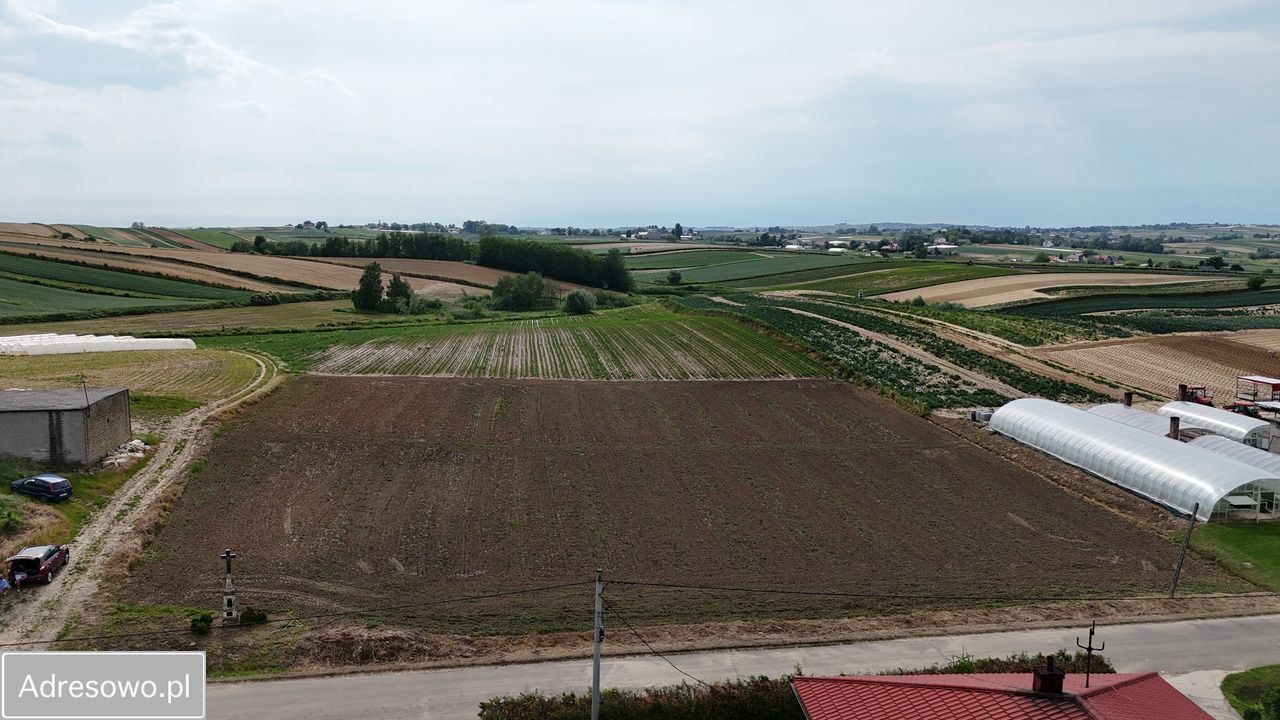 Działka budowlana Szarbia. Zdjęcie 4