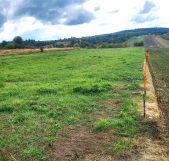 Działka rolno-budowlana Radlin. Zdjęcie 2