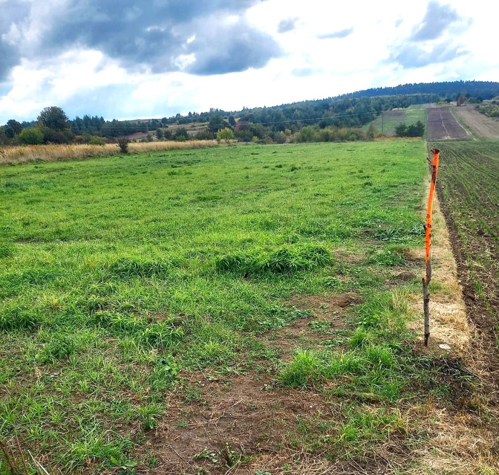 Działka rolno-budowlana Radlin. Zdjęcie 3