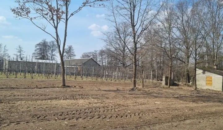 Działka budowlana Tomaszówka