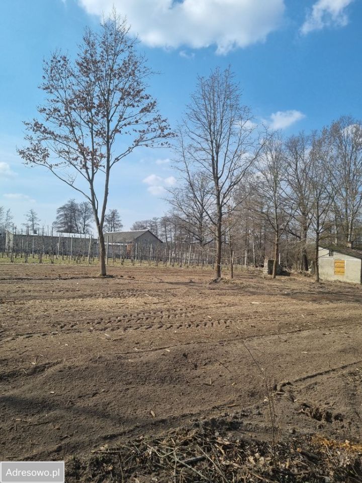 Działka Tomaszówka. Zdjęcie 1