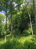 Działka budowlana Krzydlina Mała. Zdjęcie 2