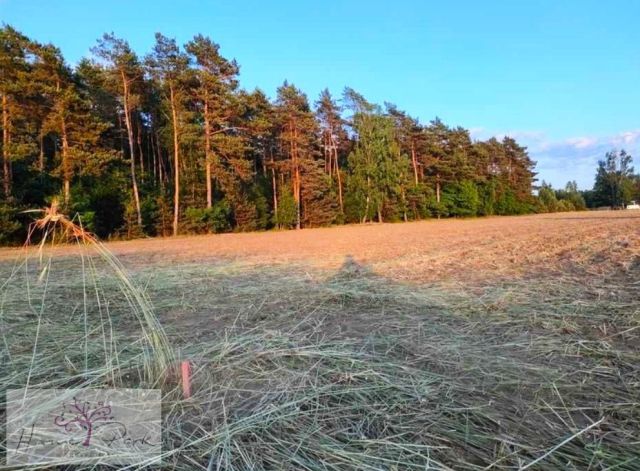 Działka budowlana Huta Bardzyńska. Zdjęcie 16