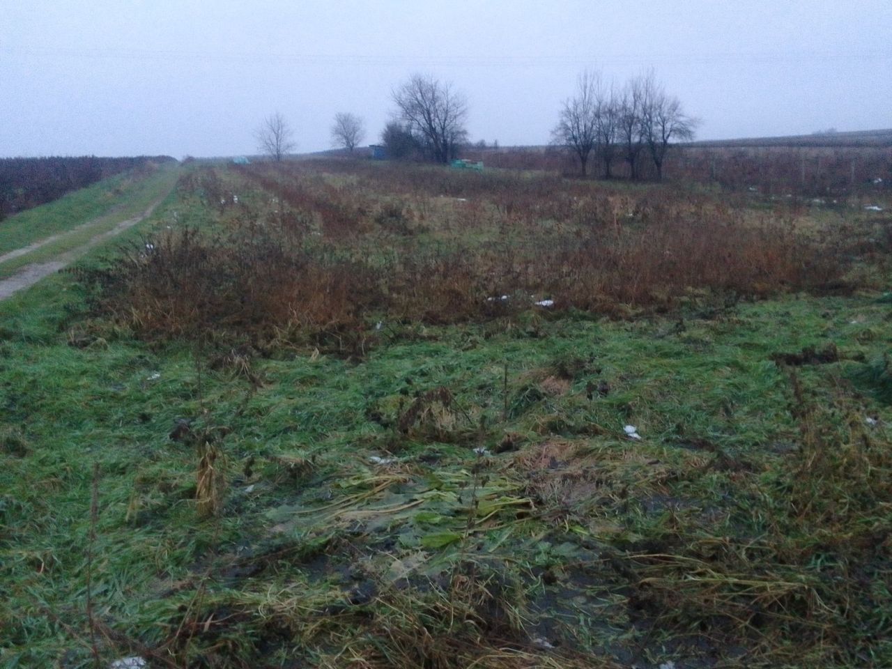 Działka budowlana Karczmiska Pierwsze. Zdjęcie 7