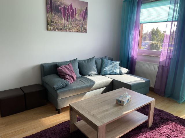 Mieszkanie 3-pokojowe Łódź Polesie, ul. Pienista. Zdjęcie 1