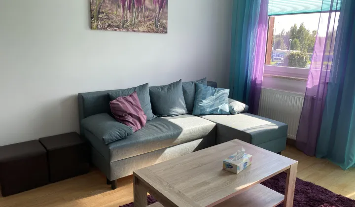 Mieszkanie 3-pokojowe Łódź Polesie, ul. Pienista