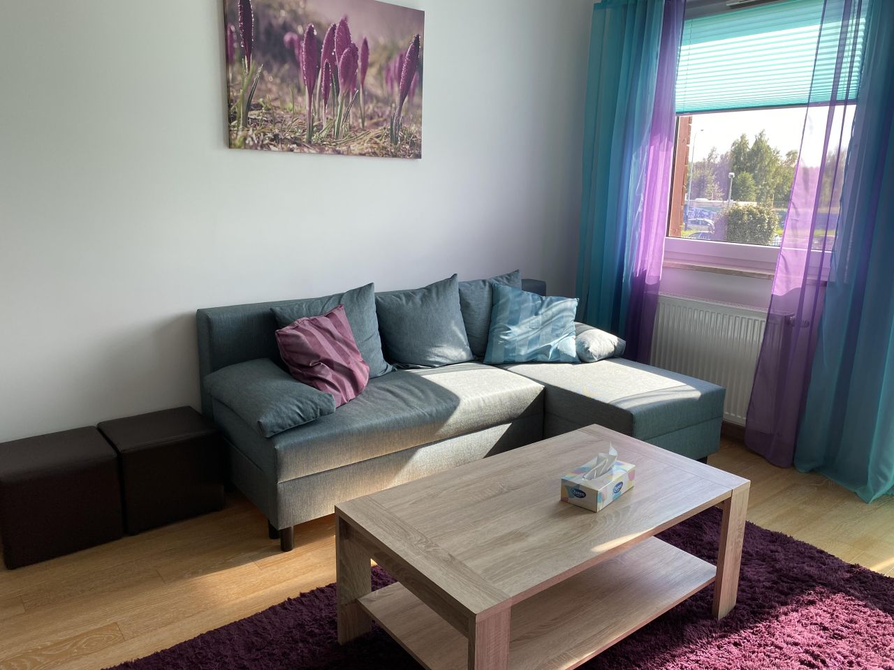 Mieszkanie 3-pokojowe Łódź Polesie, ul. Pienista