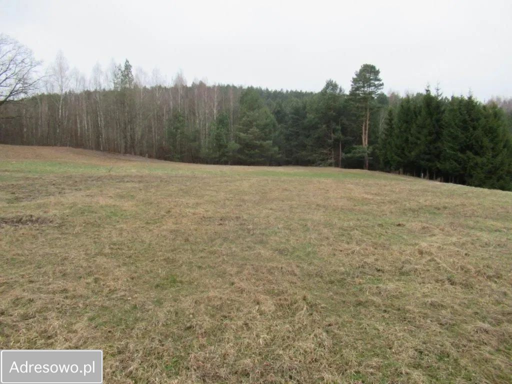 Działka budowlana Majdy, ul. Adama i Ewy. Zdjęcie 8