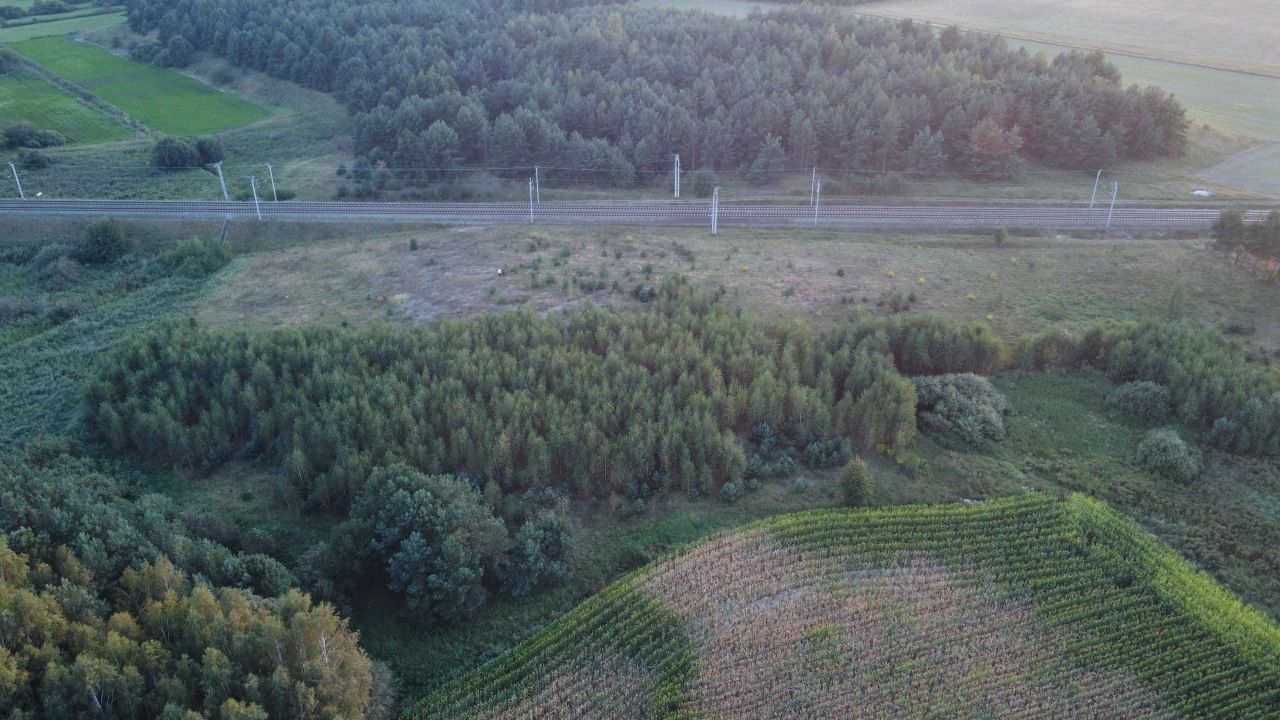Działka rolna Żabiny. Zdjęcie 6