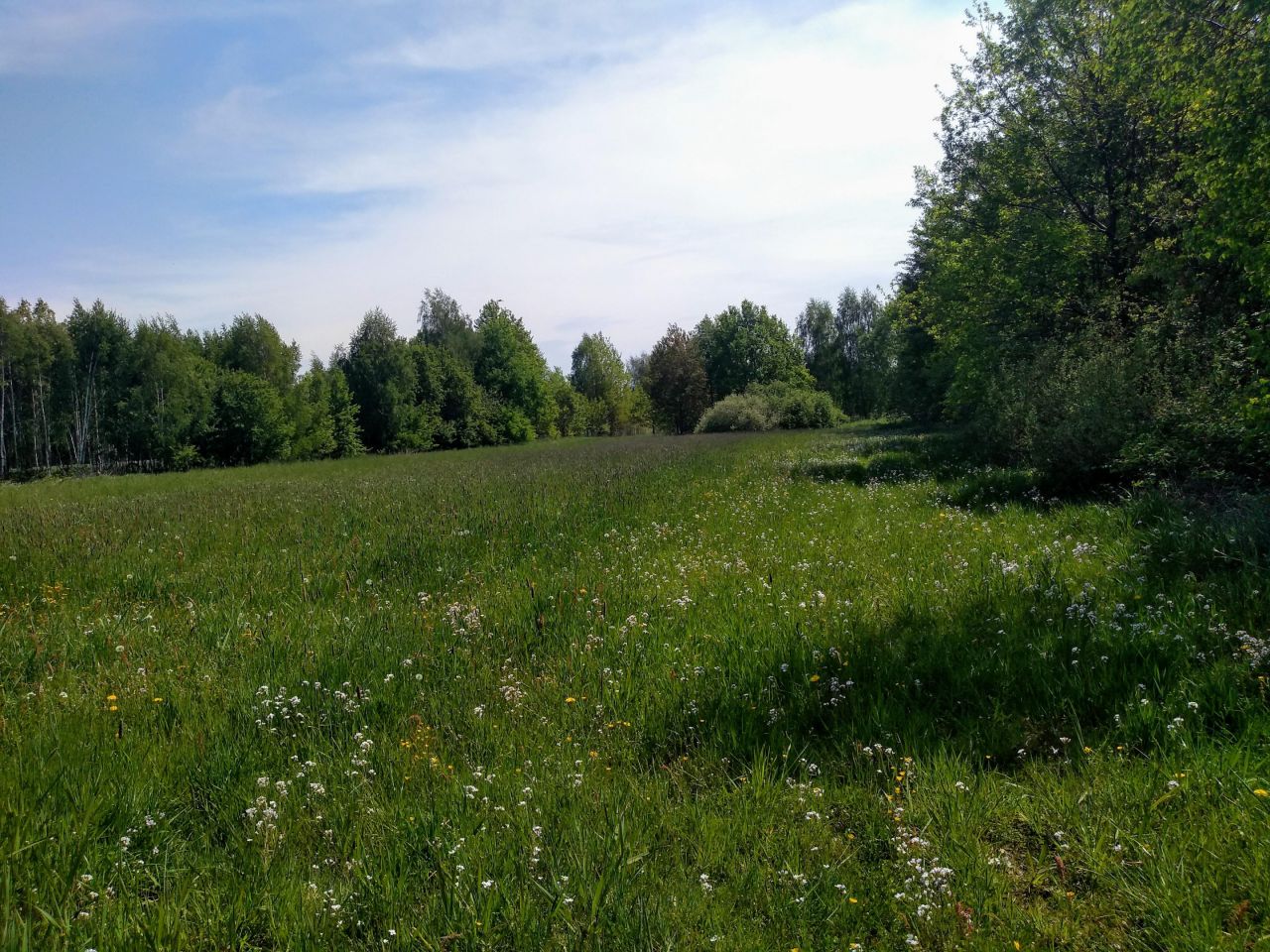 Działka budowlana Teodorów. Zdjęcie 3