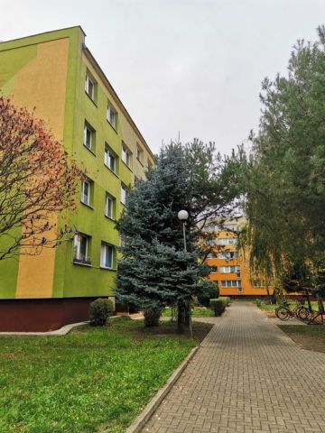 Mieszkanie 3-pokojowe Brzeg Dolny Warzyn. Zdjęcie 1