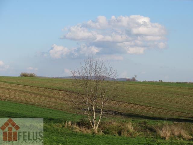 Działka rolna Czułówek