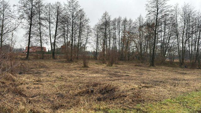 Działka budowlana Jaktorów, ul. Szwoleżerów. Zdjęcie 1