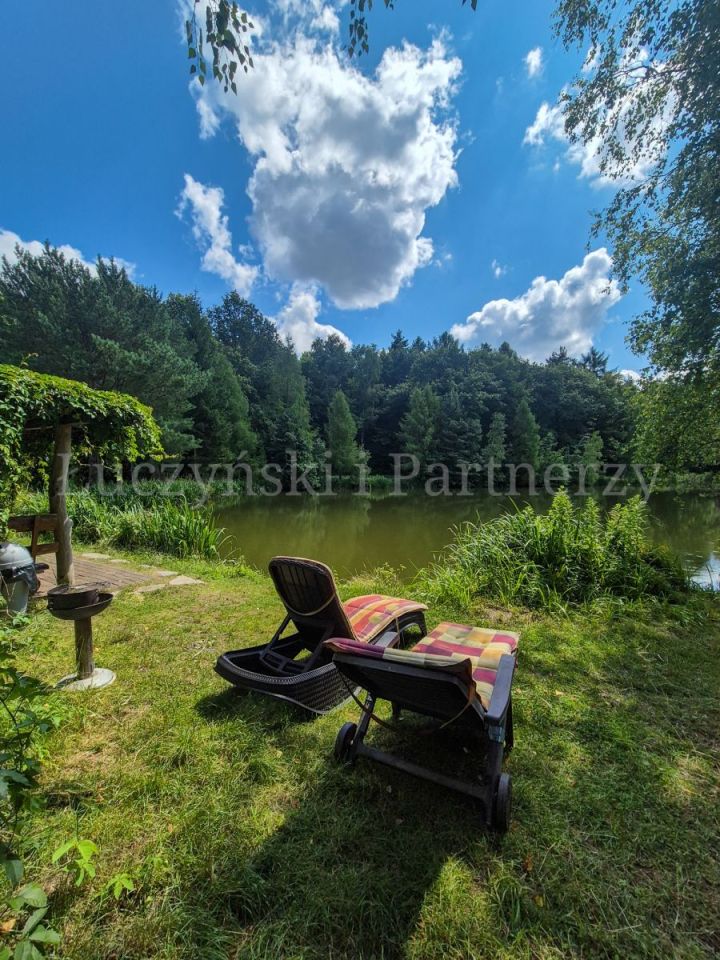 Hotel/pensjonat Gryfów Śląski. Zdjęcie 8