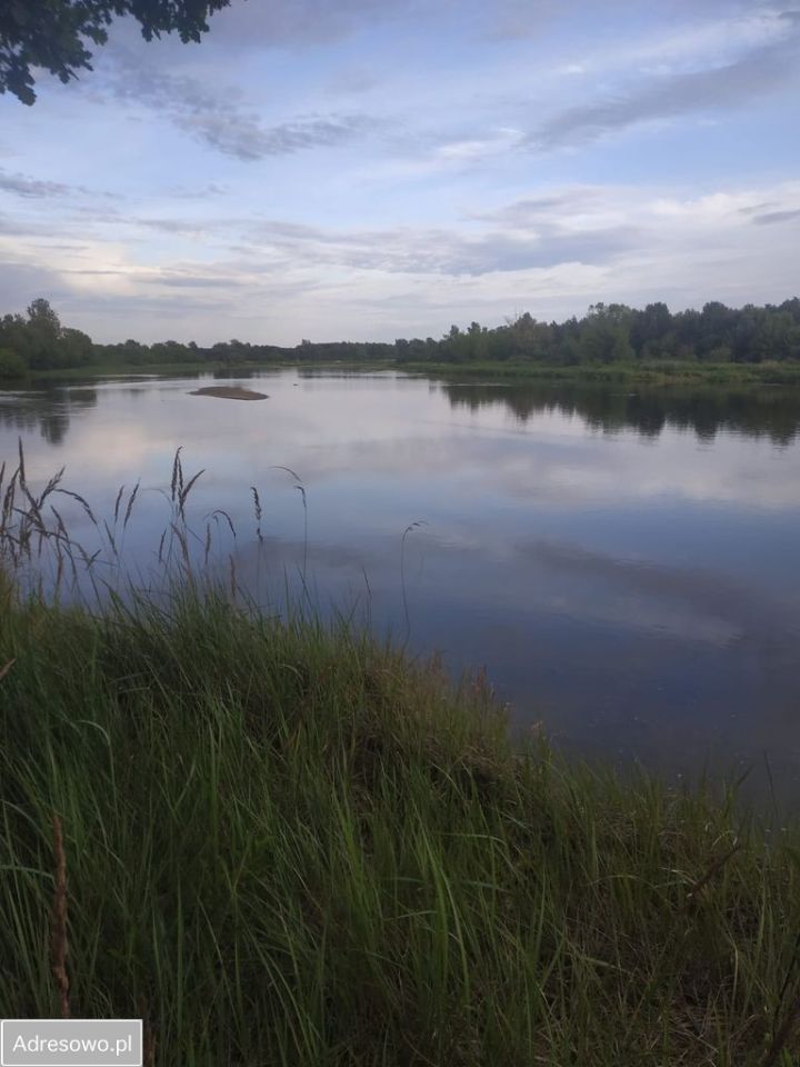 Działka rolno-budowlana Ślepowrony. Zdjęcie 5