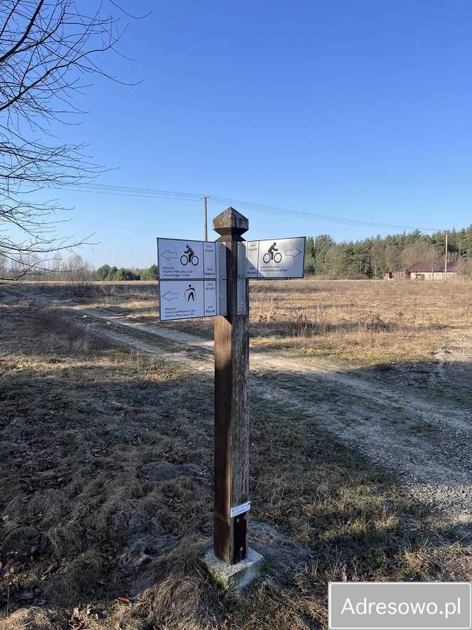 Działka siedliskowa Wytyczno. Zdjęcie 10