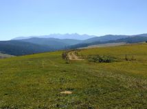 Działka Łapsze Niżne. Zdjęcie 1