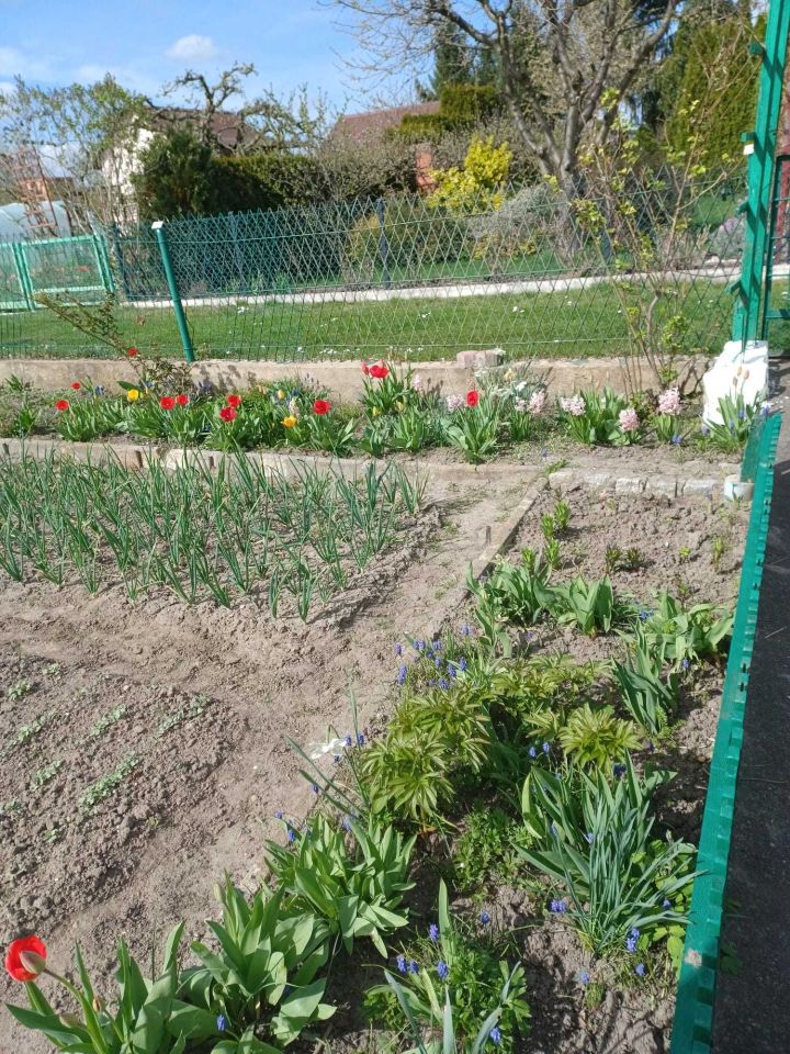 Działka rod Lubin. Zdjęcie 3