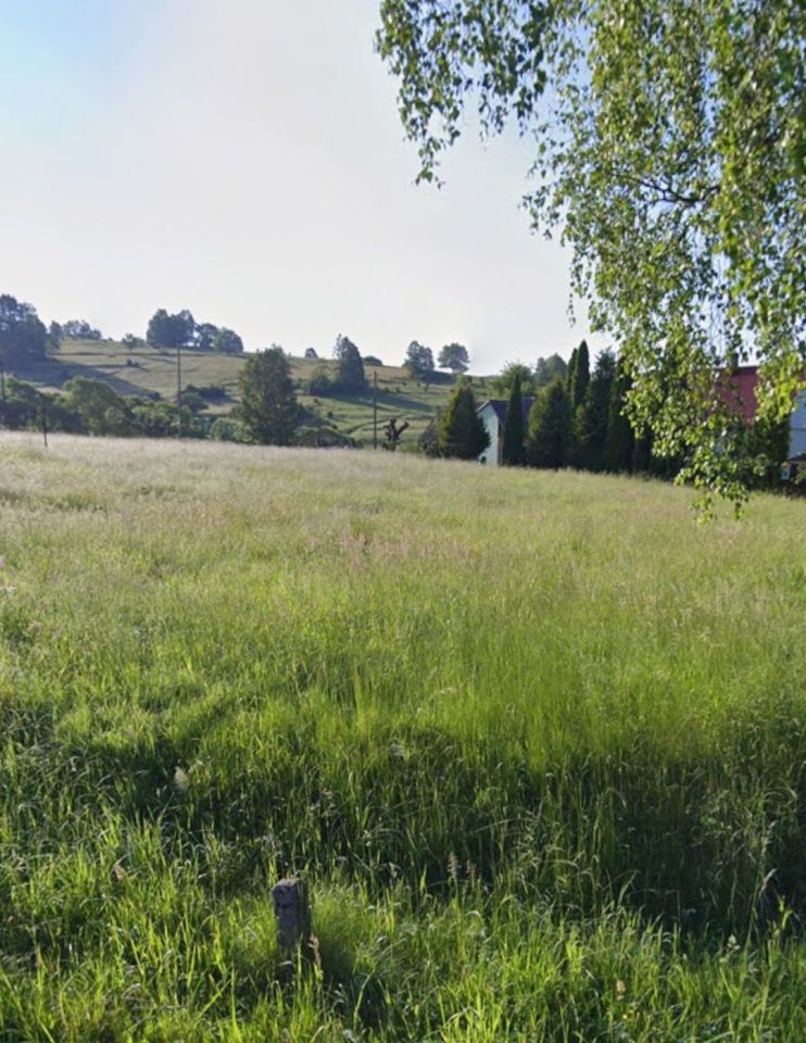 Działka budowlana Kurów. Zdjęcie 1