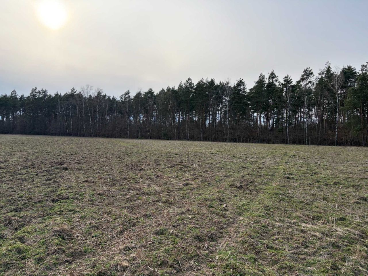 Działka rolna Tryszczyn, ul. Jałowcowa. Zdjęcie 2