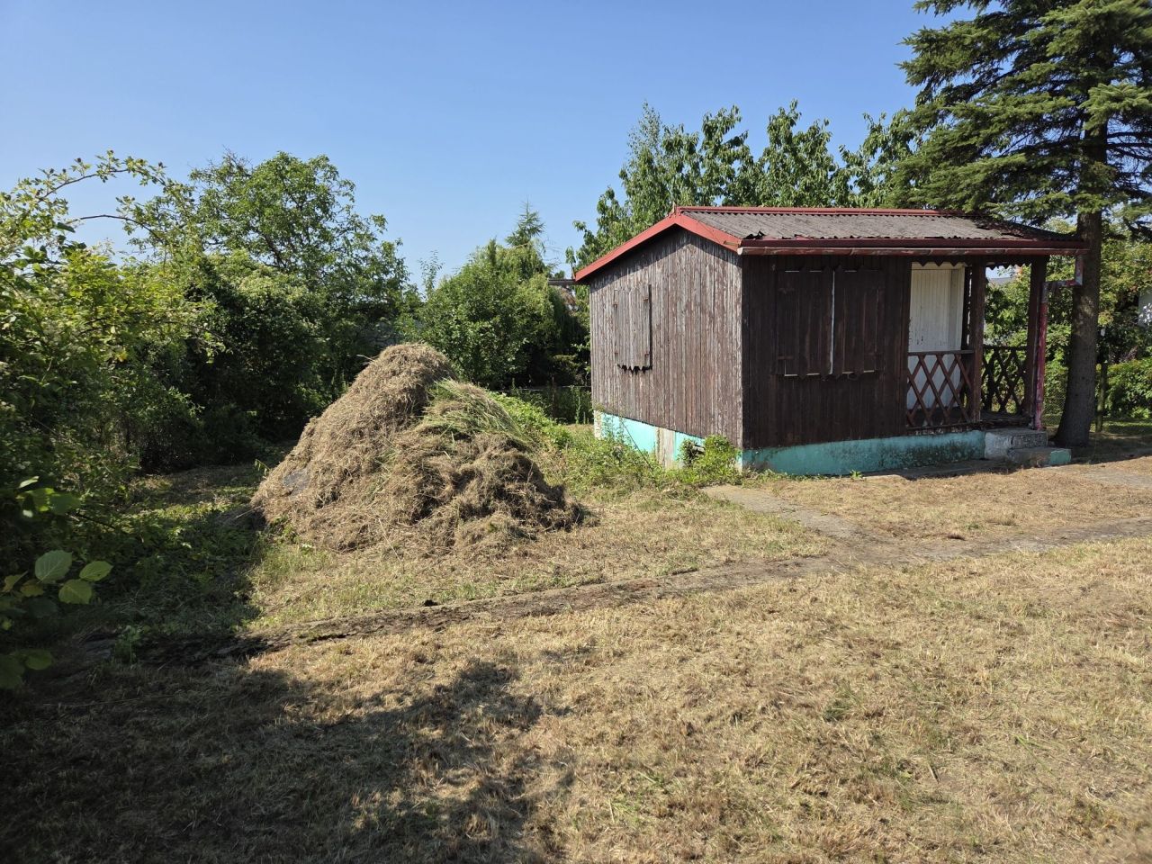 Działka rod Rogówko. Zdjęcie 8